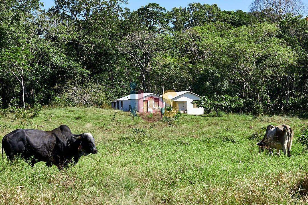 Fazenda à venda - Foto 20