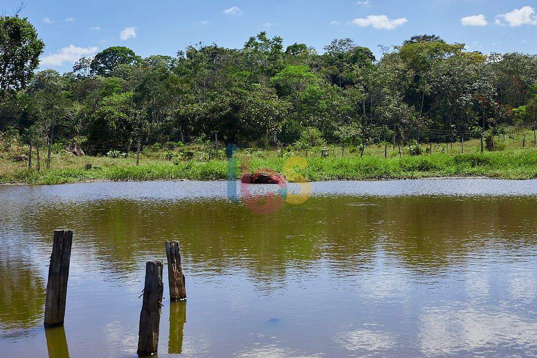 Fazenda à venda - Foto 8