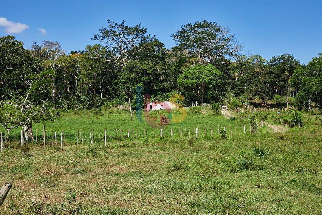 Fazenda à venda - Foto 9