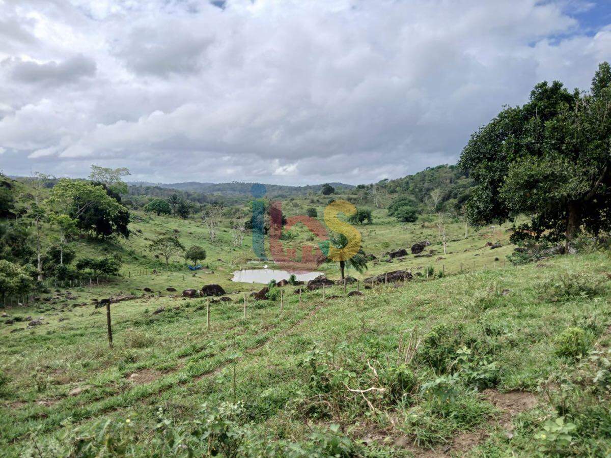 Fazenda à venda, 550000m² - Foto 3