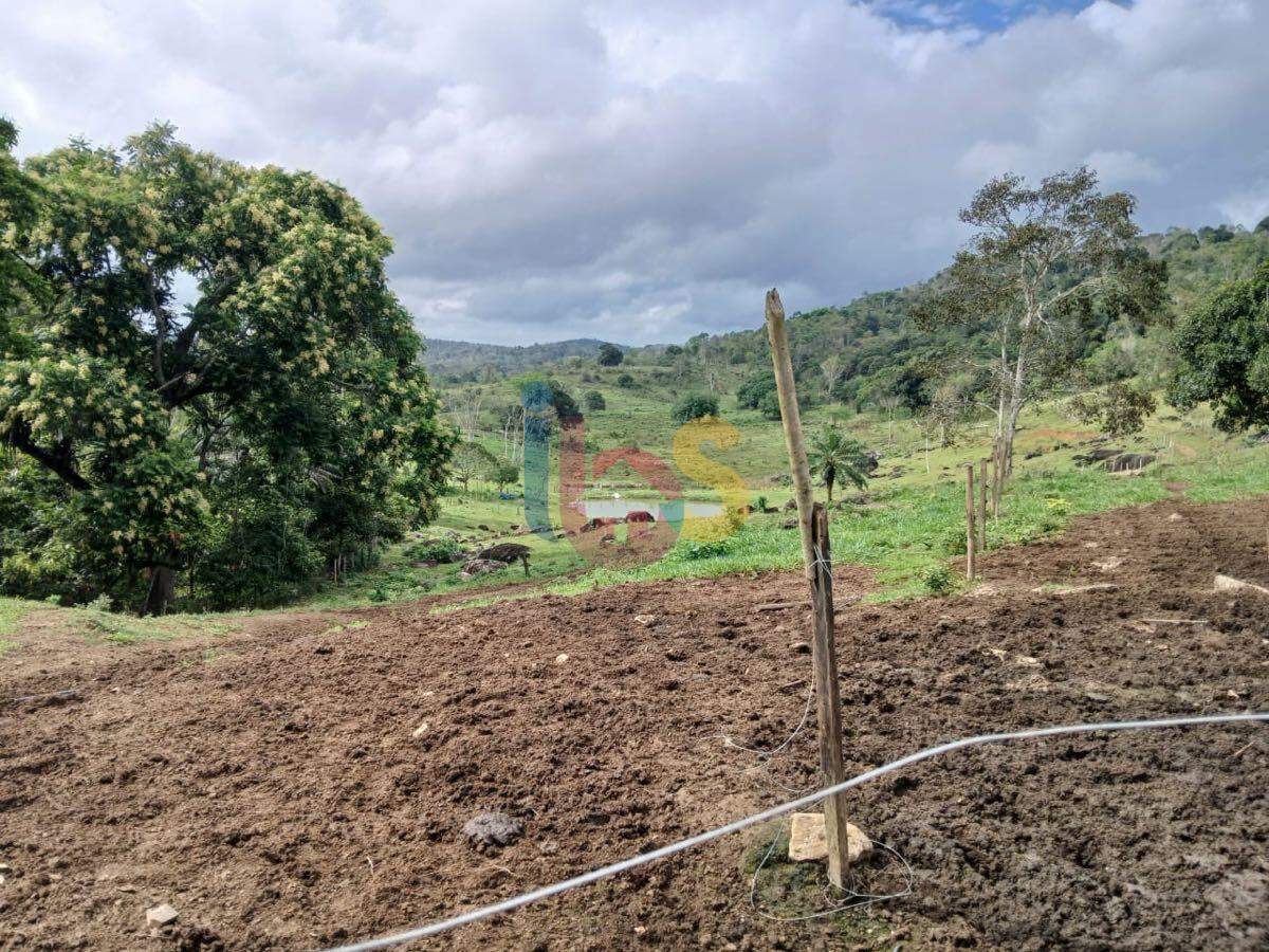 Fazenda à venda, 550000m² - Foto 6