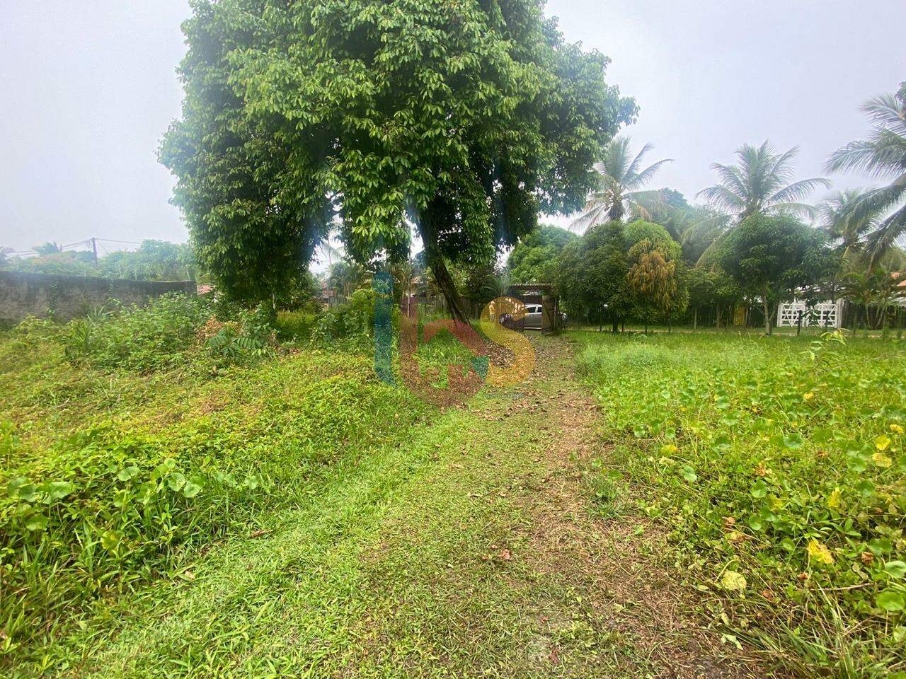 Terreno à venda, 800m² - Foto 2