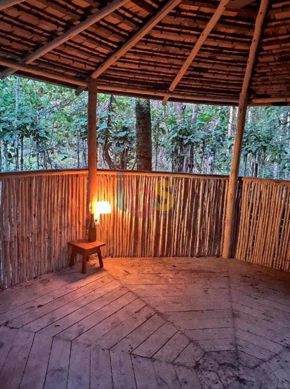 Casa, 4 quartos, 480 m² - Foto 3