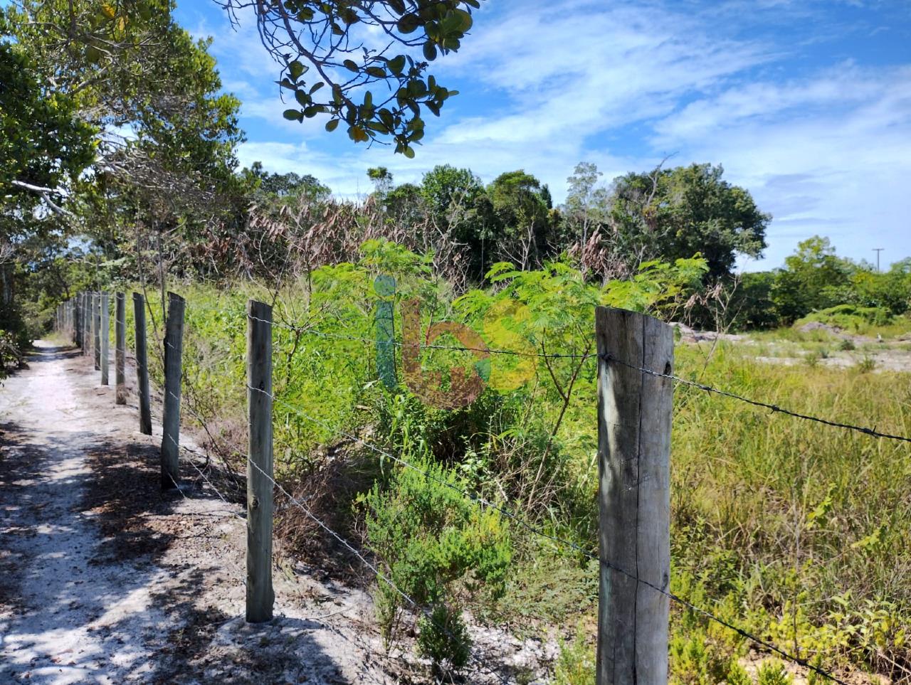 Terreno, 1 hectares - Foto 4