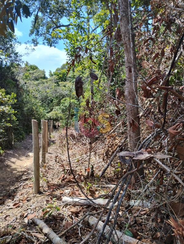 Terreno, 1 hectares - Foto 2