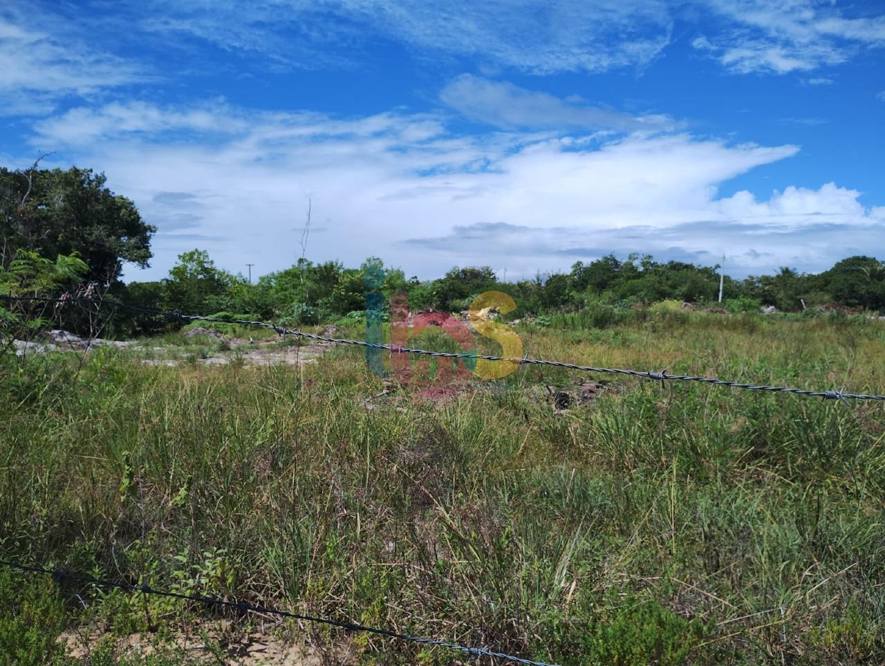 Terreno, 1 hectares - Foto 6