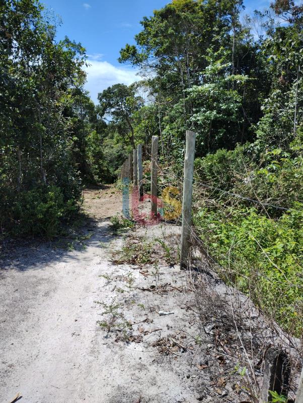 Terreno, 1 hectares - Foto 3