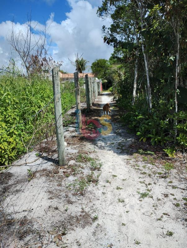 Terreno, 1 hectares - Foto 5