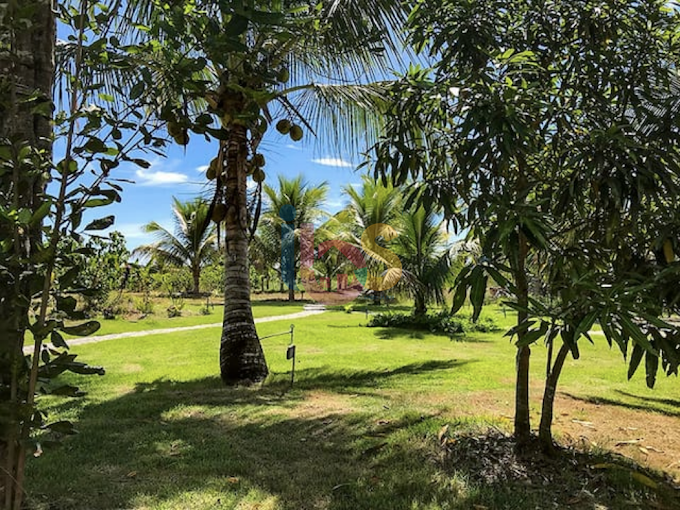 Fazenda à venda com 14 quartos, 496m² - Foto 35