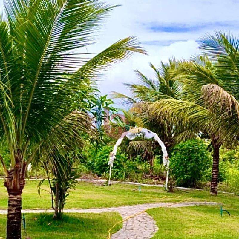 Fazenda à venda com 14 quartos, 496m² - Foto 19