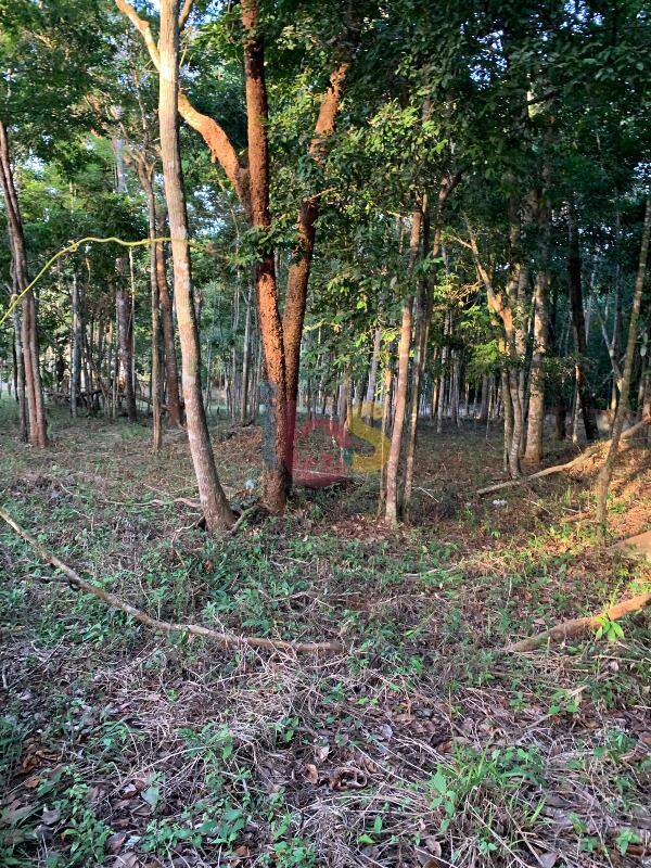 Terreno, 3800 m² - Foto 6