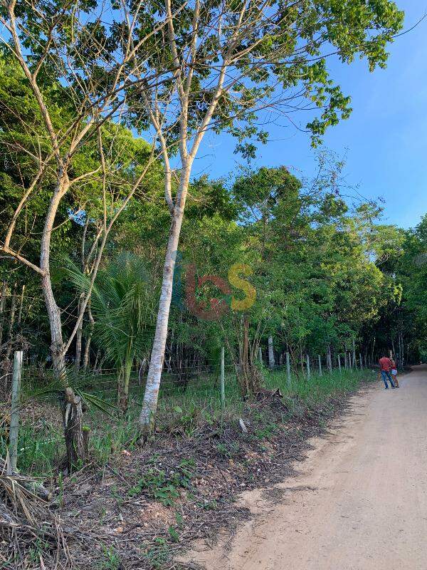 Terreno, 3800 m² - Foto 4