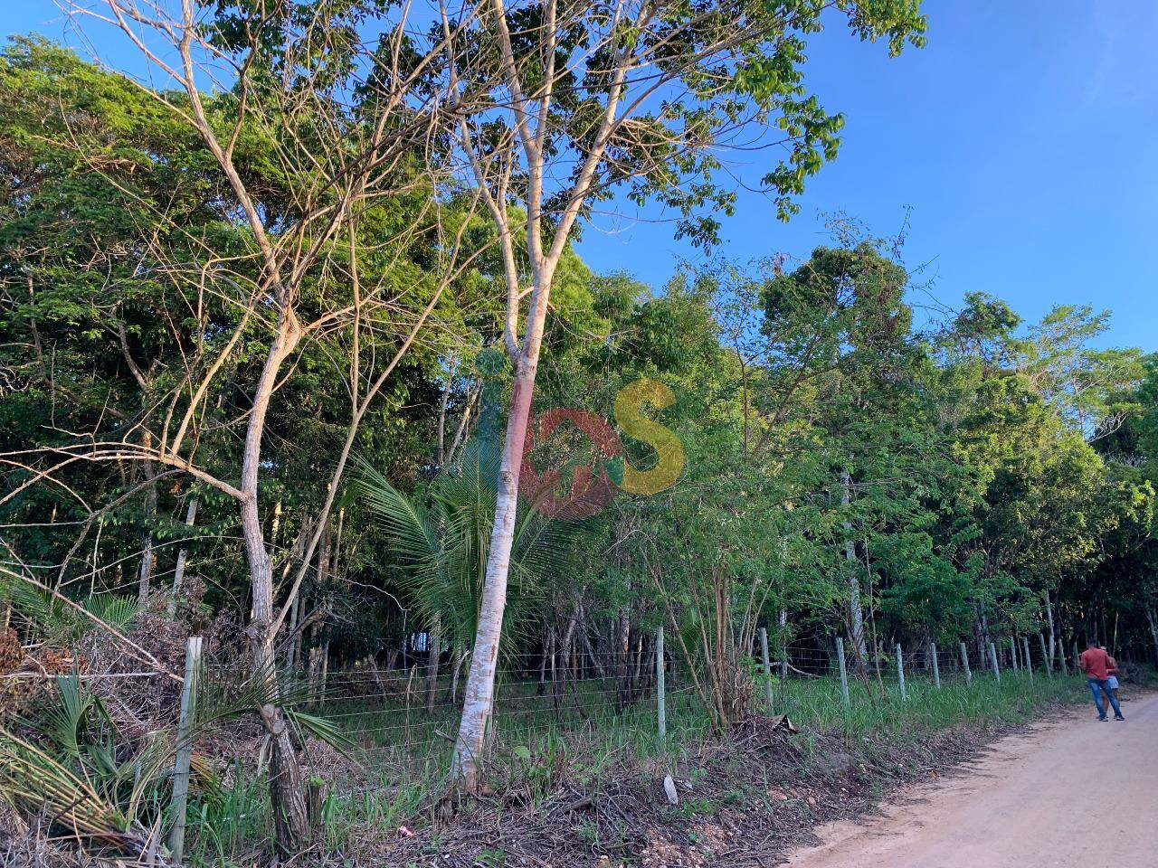 Terreno, 3800 m² - Foto 2