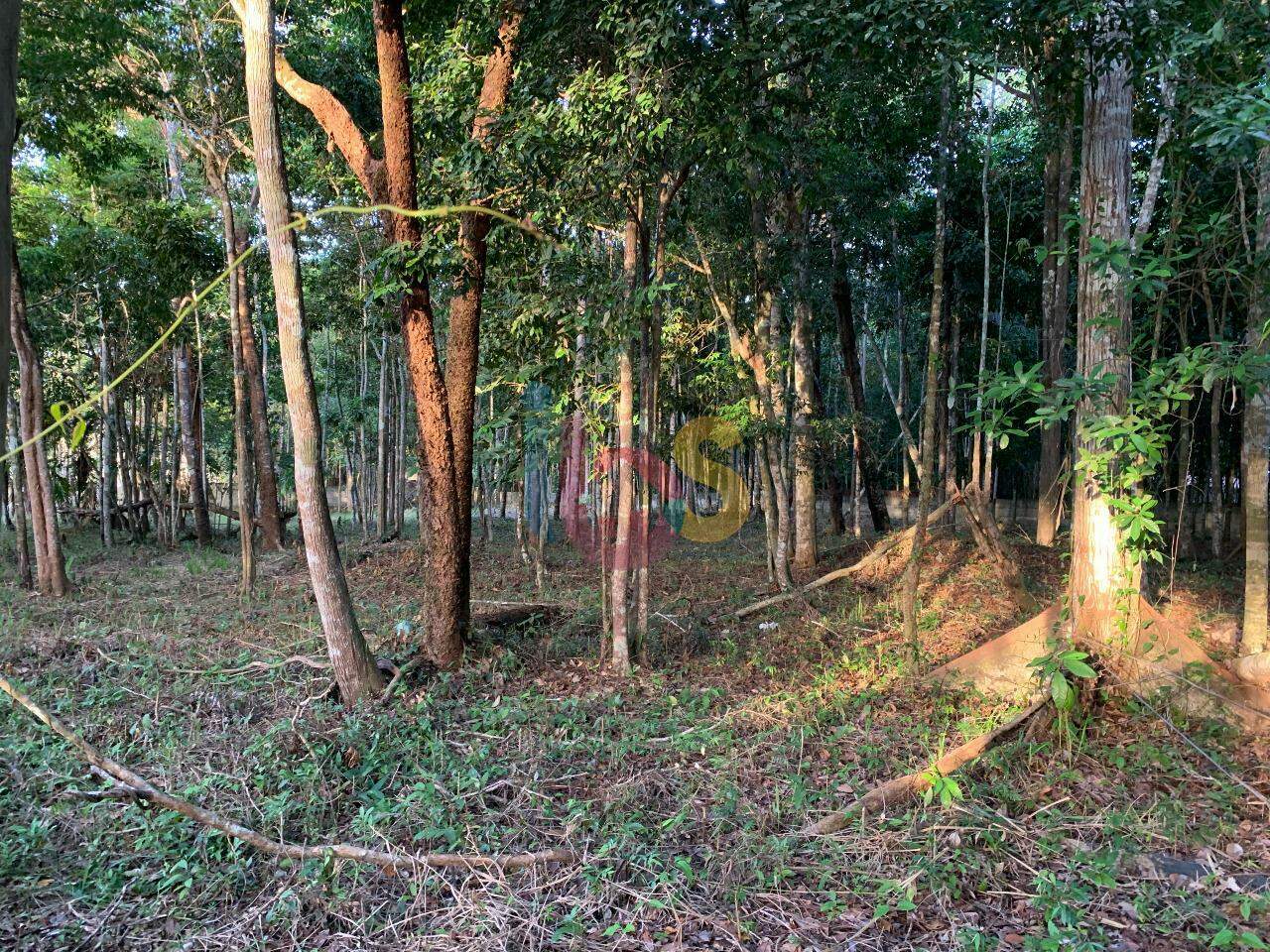 Terreno, 3800 m² - Foto 1