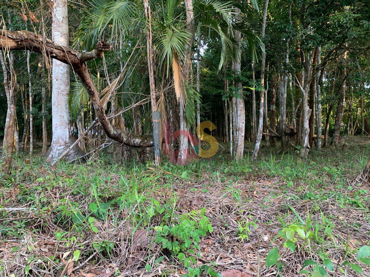 Terreno, 3800 m² - Foto 3