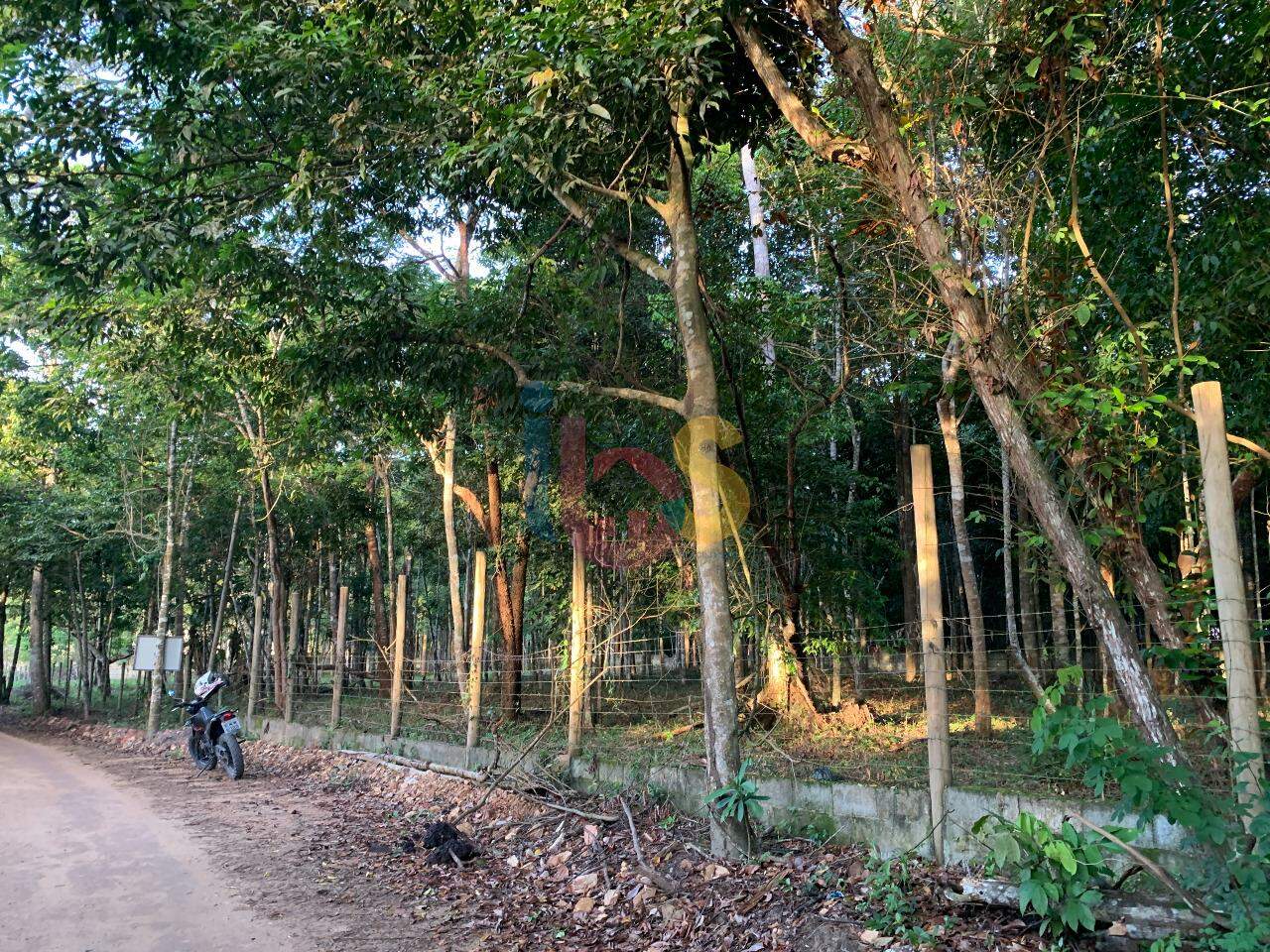 Terreno, 3800 m² - Foto 7