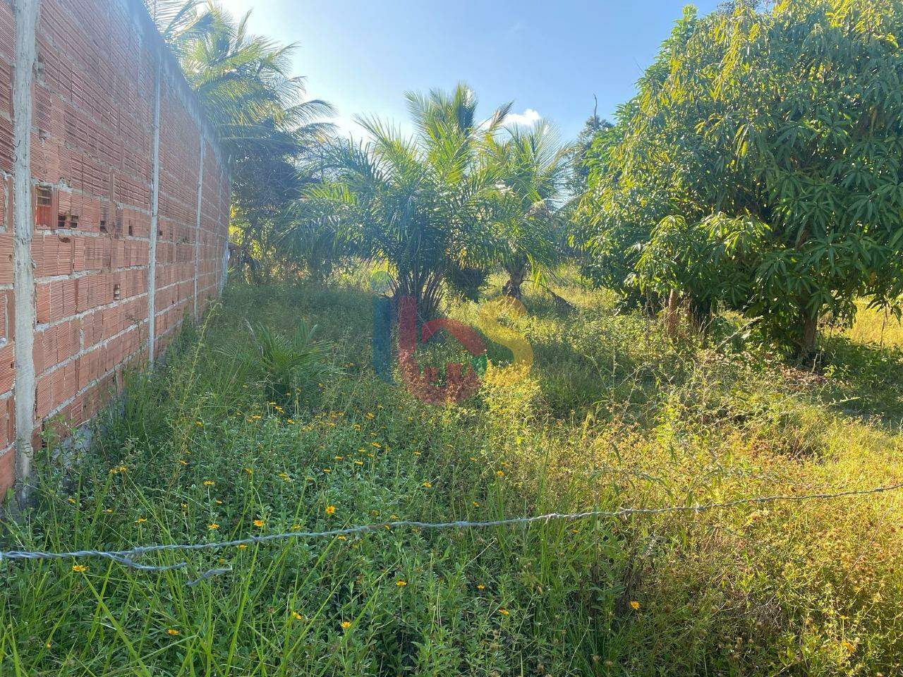 Terreno, 1050 m² - Foto 4