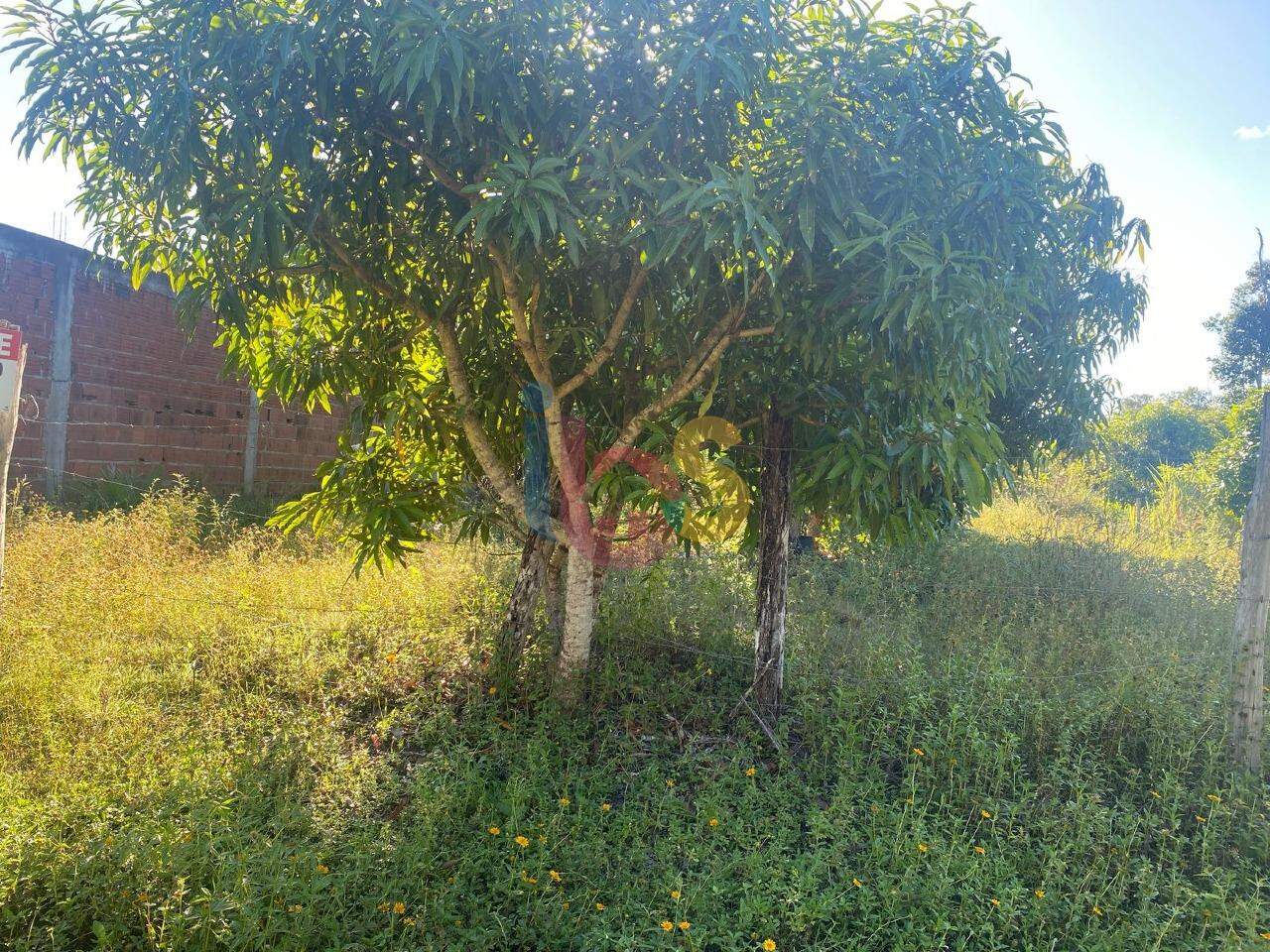 Terreno, 1050 m² - Foto 7