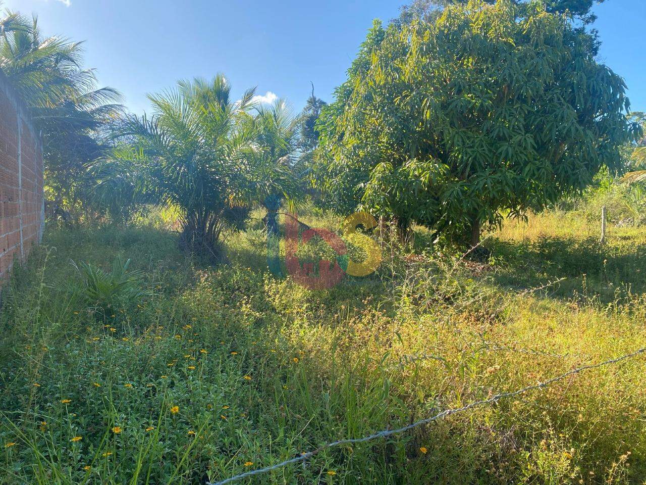 Terreno, 1050 m² - Foto 3