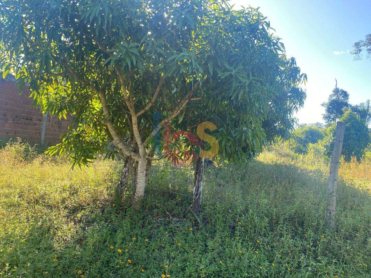 Terreno, 1050 m² - Foto 6