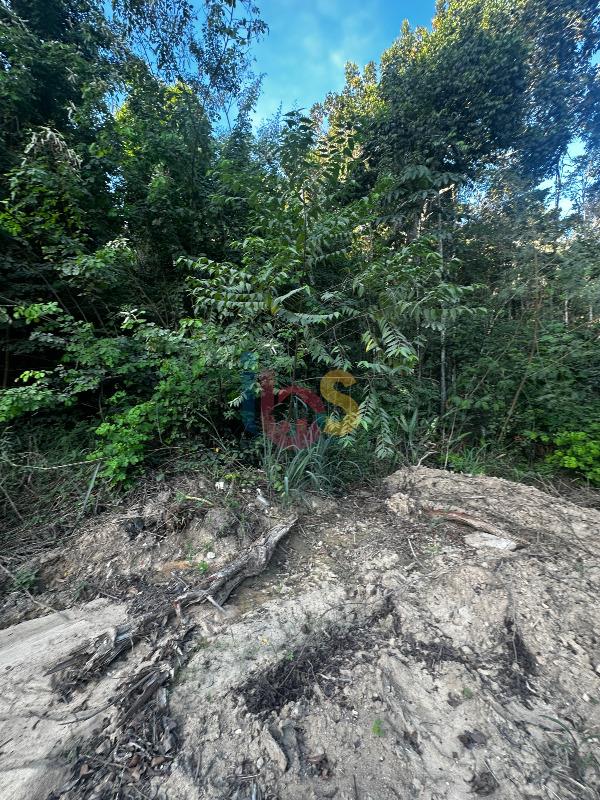 Terreno, 372 m² - Foto 2