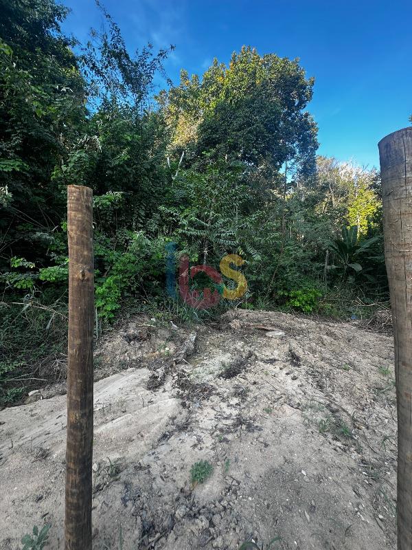 Terreno, 372 m² - Foto 3