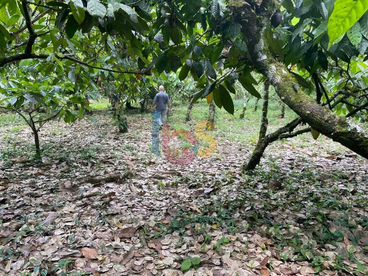 Fazenda à venda com 1 quarto, 950000m² - Foto 10
