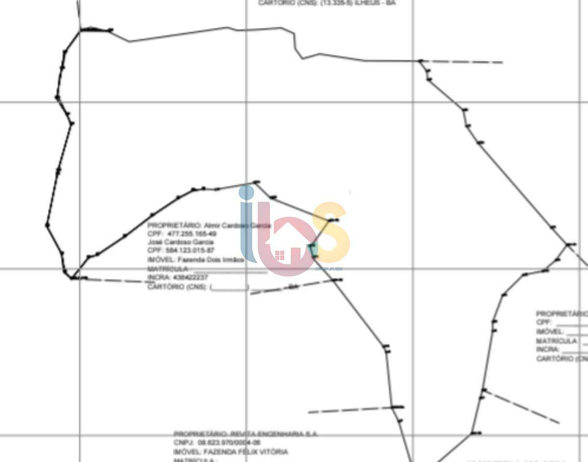 Fazenda à venda com 1 quarto, 950000m² - Foto 9