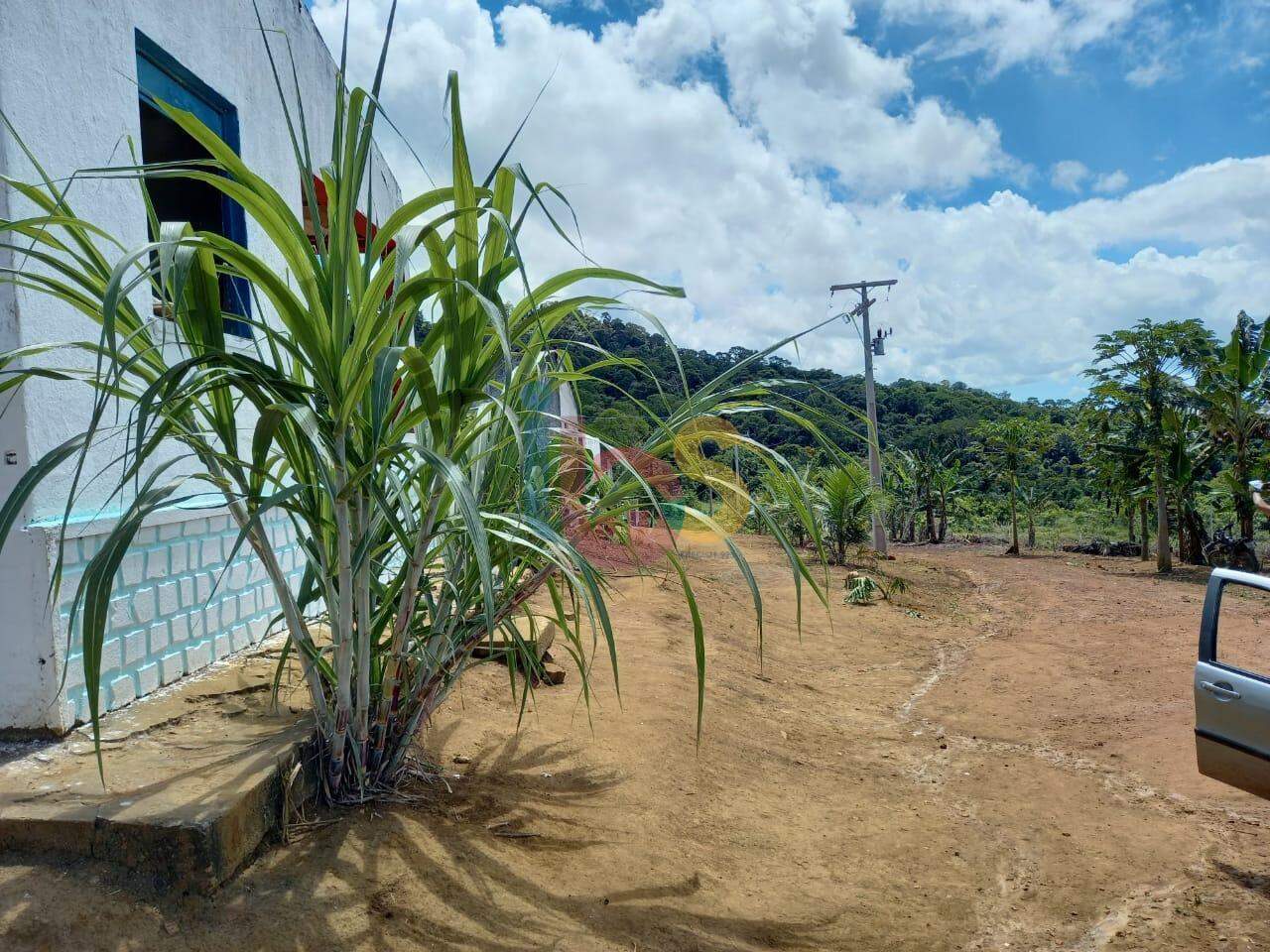 Fazenda à venda com 3 quartos, 320m² - Foto 6