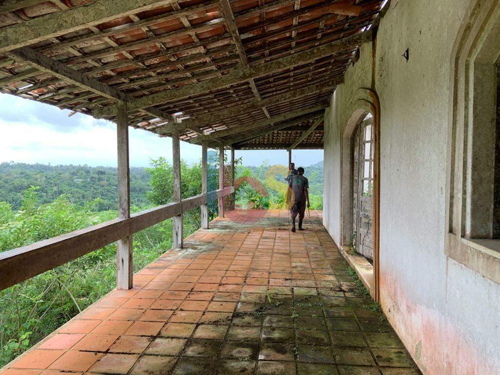 Fazenda à venda com 3 quartos, 320m² - Foto 3