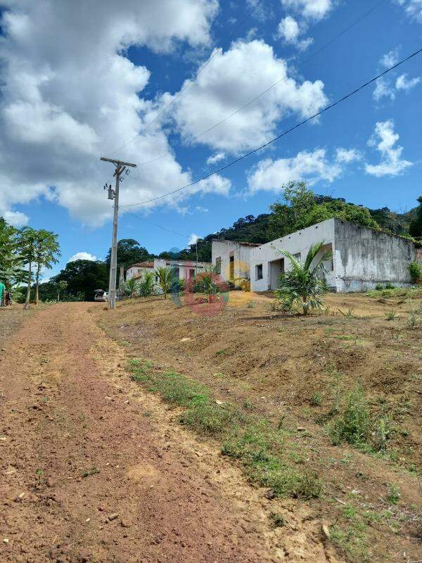 Fazenda à venda com 3 quartos, 320m² - Foto 1