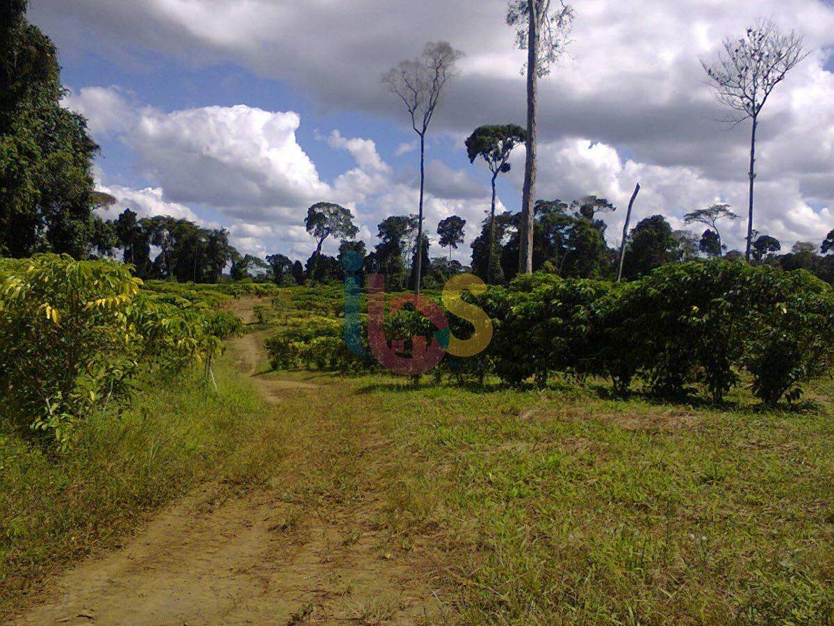 Fazenda à venda, 214m² - Foto 3