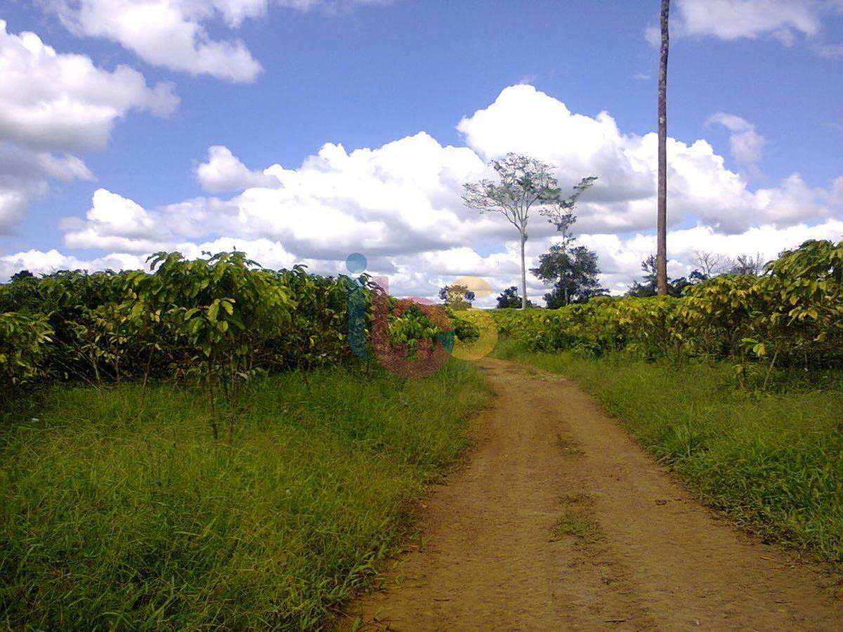 Fazenda à venda, 214m² - Foto 1