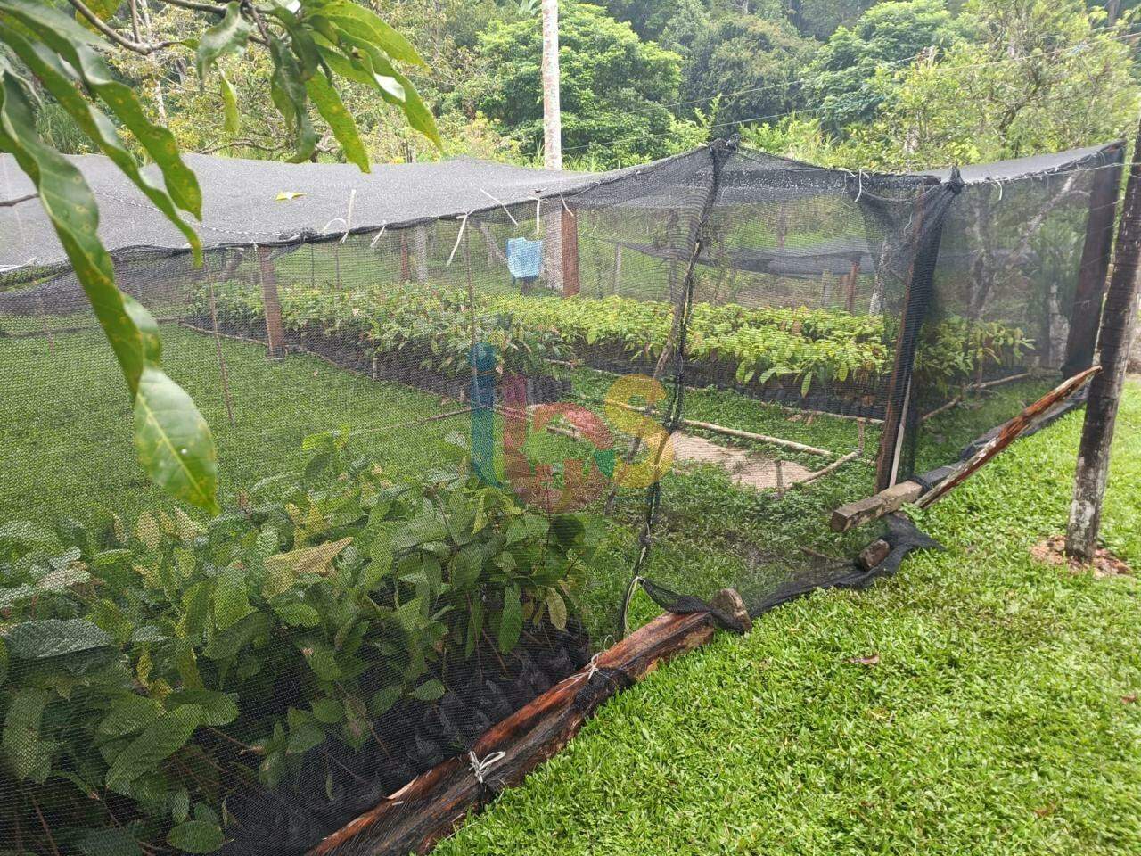 Fazenda à venda com 4 quartos - Foto 4