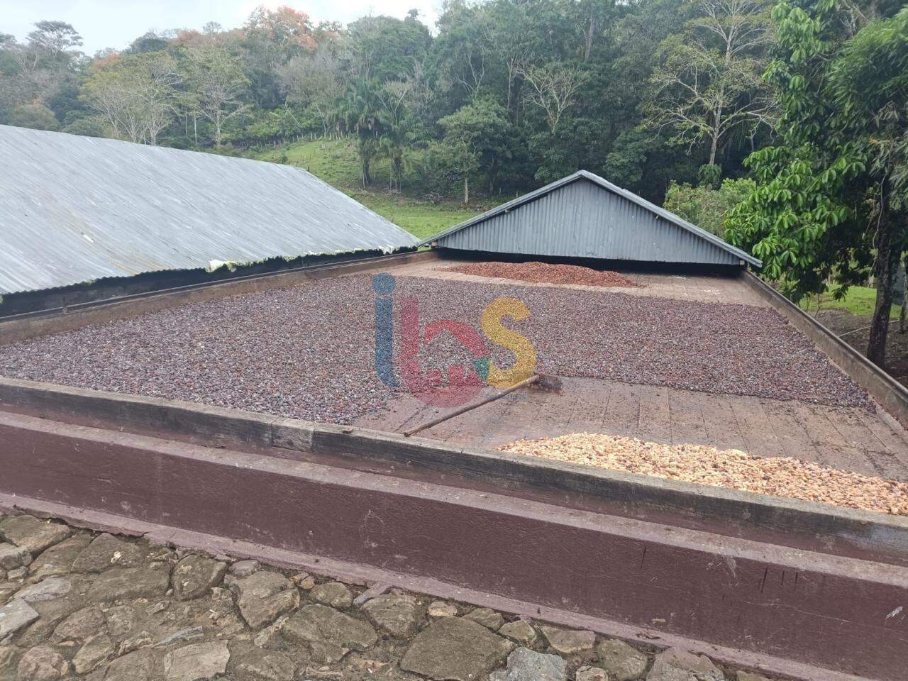 Fazenda à venda com 4 quartos - Foto 1