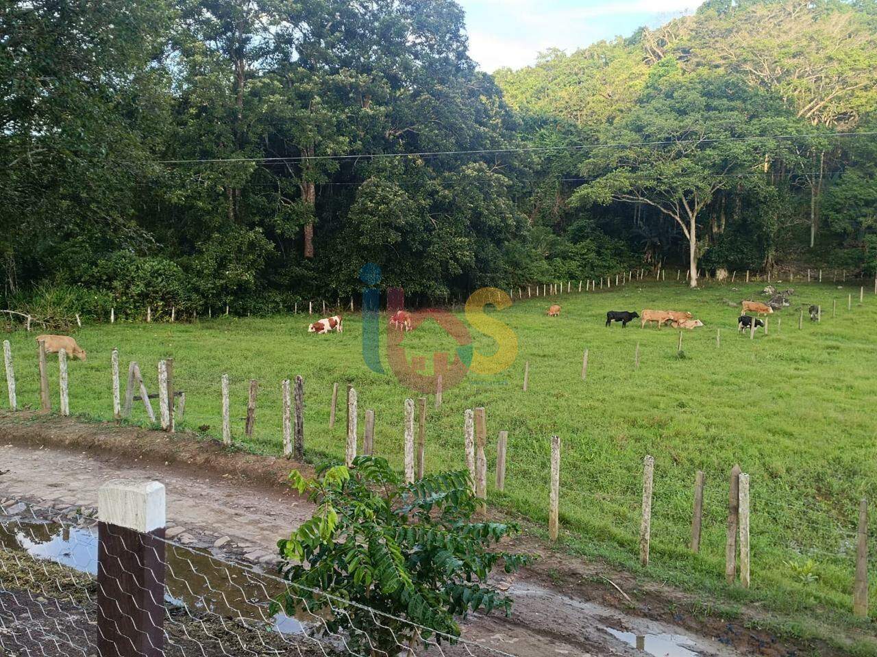 Fazenda à venda com 4 quartos - Foto 8