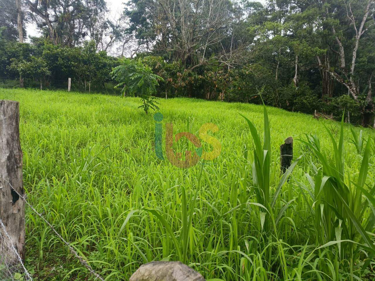 Fazenda à venda com 4 quartos - Foto 7