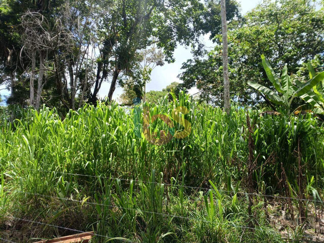 Fazenda à venda com 4 quartos - Foto 6