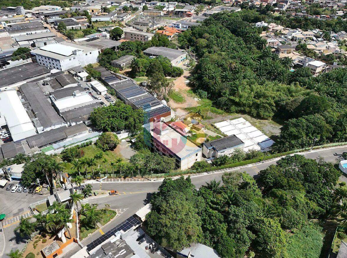 Terreno, 2 hectares - Foto 4