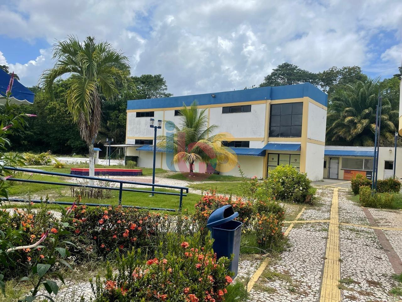 Terreno, 2 hectares - Foto 18