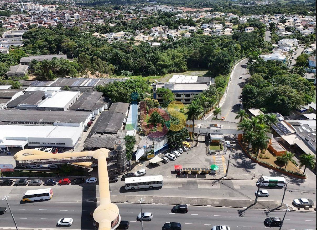 Terreno, 2 hectares - Foto 6