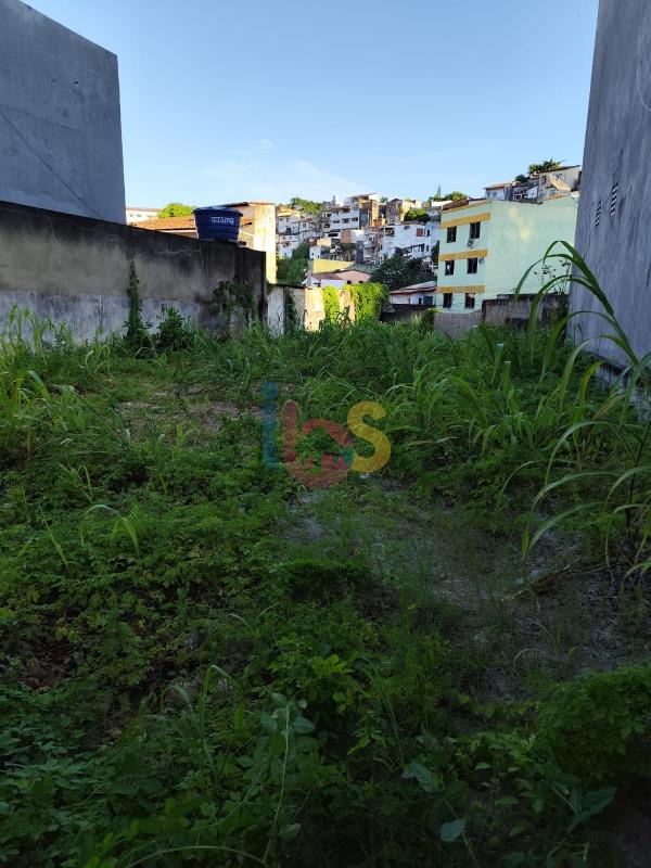 Terreno, 245 m² - Foto 3