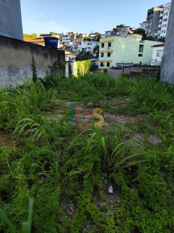 Terreno, 245 m² - Foto 5