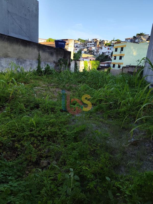 Terreno, 245 m² - Foto 10