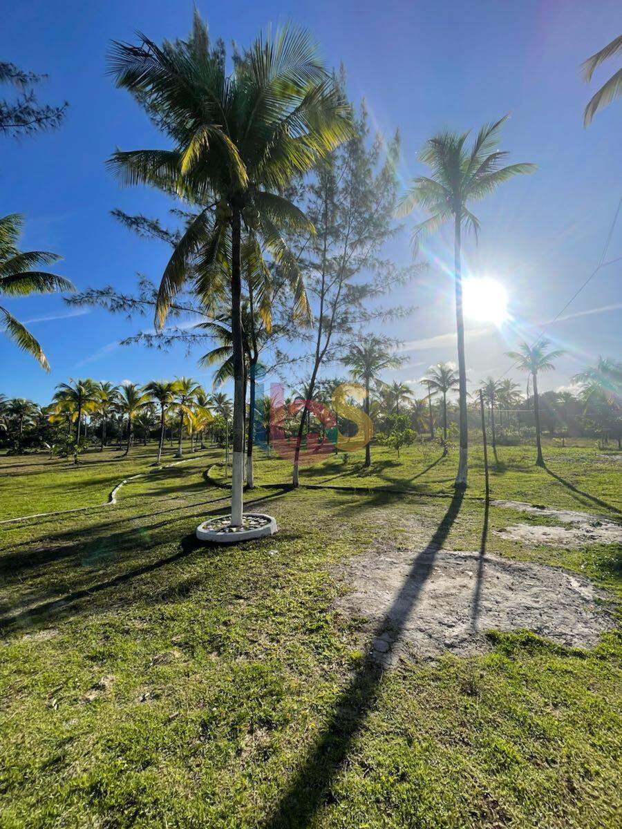 Sítio à venda com 4 quartos, 1000m² - Foto 12
