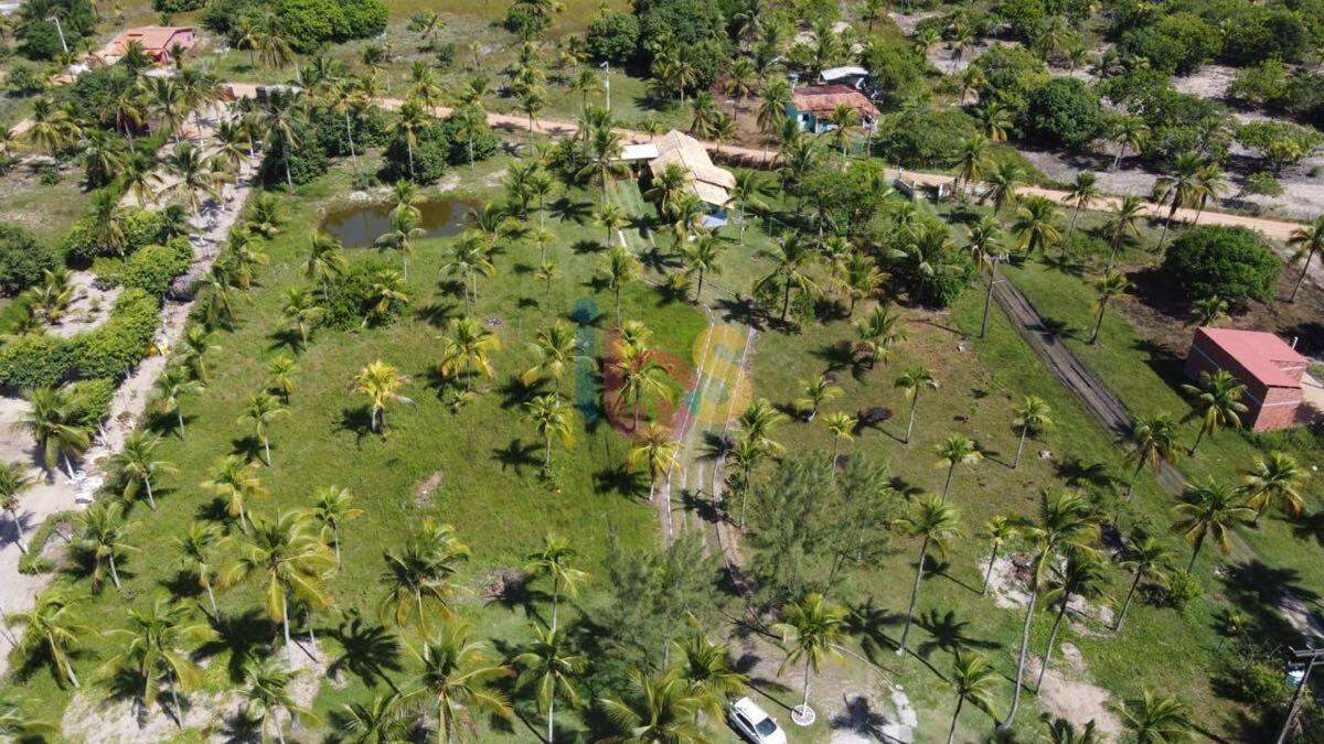 Sítio à venda com 4 quartos, 1000m² - Foto 7