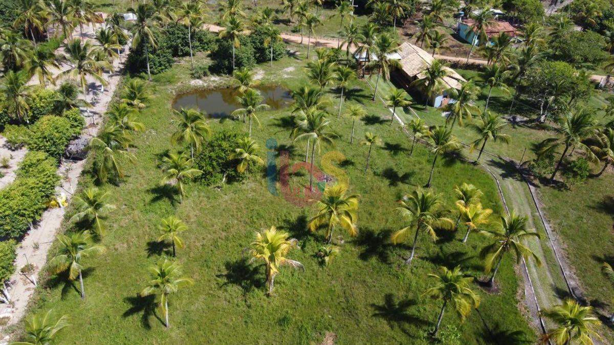Sítio à venda com 4 quartos, 1000m² - Foto 3