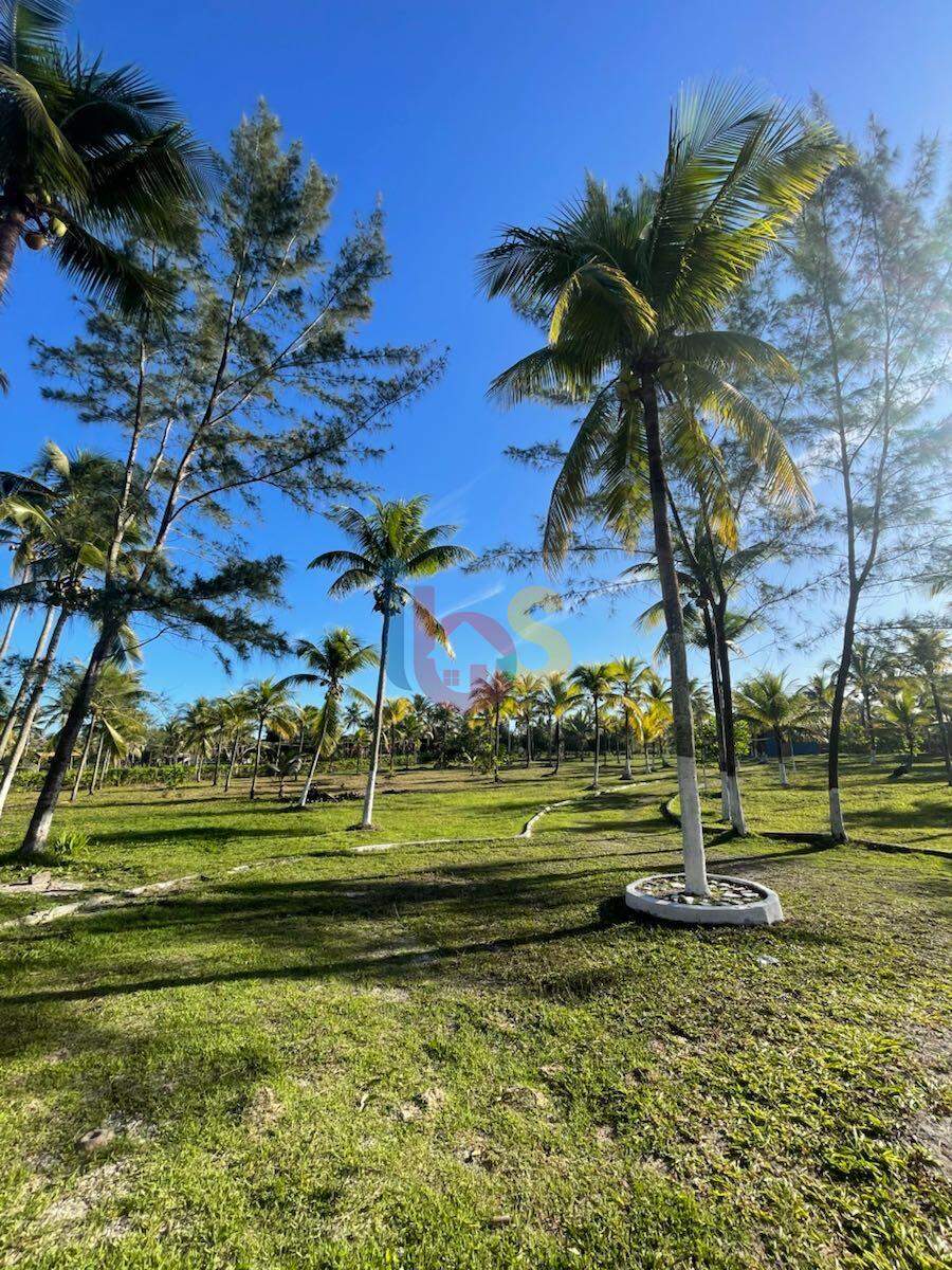 Sítio à venda com 4 quartos, 1000m² - Foto 8