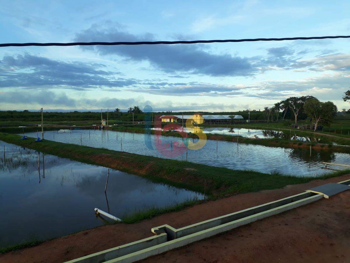 Fazenda à venda, 15098m² - Foto 3