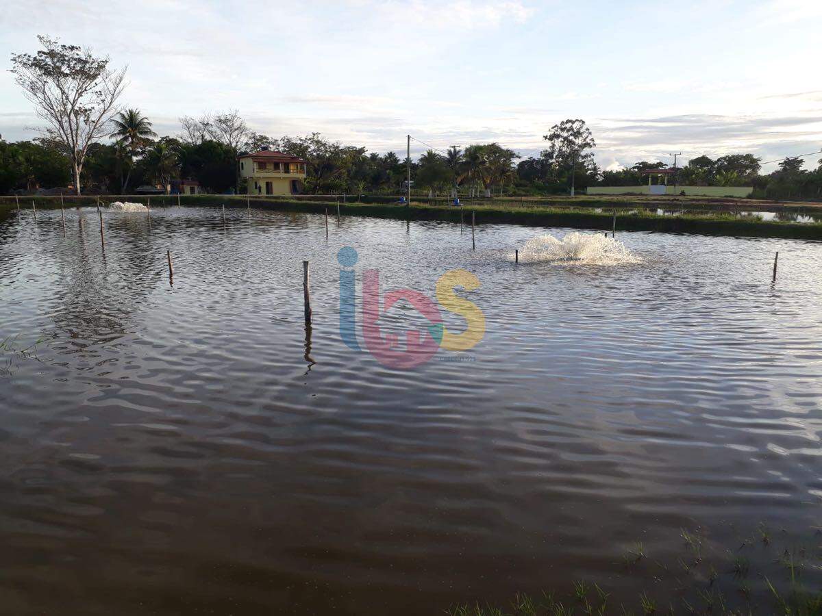 Fazenda à venda, 15098m² - Foto 7